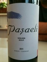 Paşaeli Karalahna - Merlot