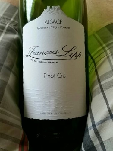 Francois Lipp Pinot Gris | Vivino English