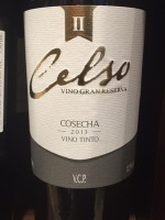 Bodega Pablo Fallabrino II Celso Gran Reserva Cosecha Tinto