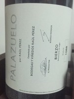 Raúl Pérez Palazuelo
