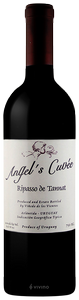 Bodega Pablo Fallabrino Angel's Cuvée Ripasso de Tannat N.V.