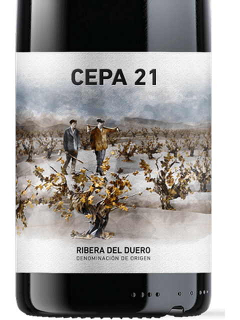 Cepa 21 Cepa 21 | Vivino 日本語