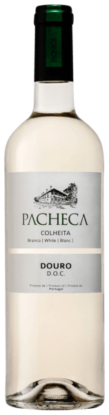 Pacheca Douro Colheita Branco