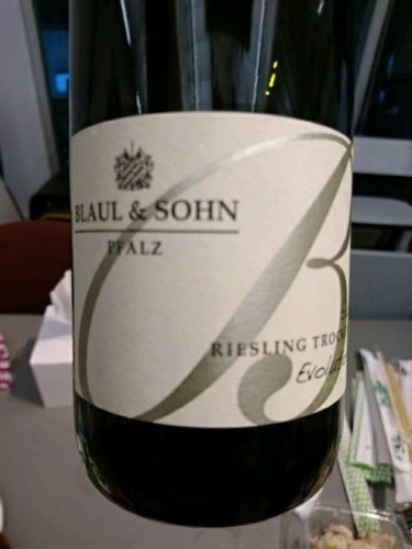 Blaul & Sohn Evolution Riesling Trocken | Vivino Canada