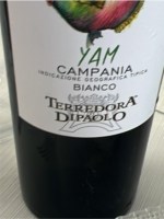 Terredora Yam Bianco