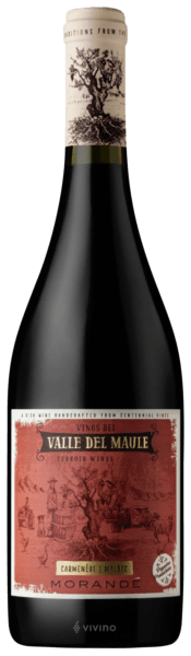 Morandé Terroir Wines Carmenere - Malbec