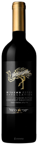 Carmel (יקבי כרמל) Cabernet Sauvignon (הסדרה האזורית קברנה סוביניון) N.V.
