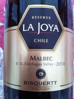 Bisquertt Family Vineyards La Joya Reserve Malbec