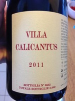 Villa Canestrari Tinto