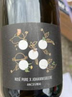 Weingut Seckinger Rosé Pure X Johannisbeere Ancestral