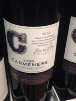 Tesco Kuyen Carménère