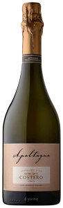 Apaltagua Costero Extra Brut N.V.