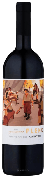 Vinho Marzarotto Tinto Seco Brasil Pleno Cabernet Franc 2025 750ml