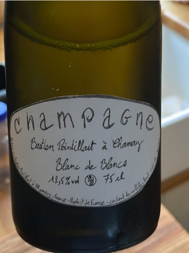 Bastien Pointillart Blanc de Blancs Champagne | Vivino English