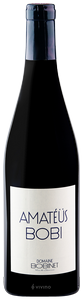 Domaine Bobinet Amatéüs Bobi Saumur Champigny N.V.