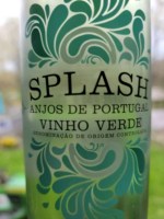 Quinta da Lixa Splash Anjos de Portugal