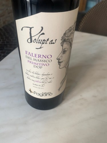 Fattoria Pagano Voluptas Falerno del Massico Primitivo | Vivino English