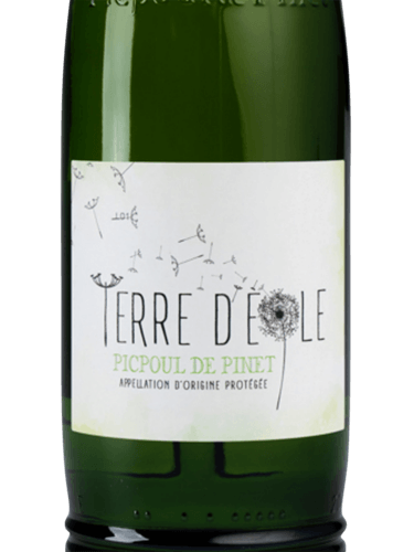 Domaine des Lauriers Terre d'Eole Picpoul de Pinet Blanc | Vivino Schweiz