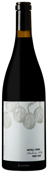 Anthill Farms Anderson Valley Pinot Noir