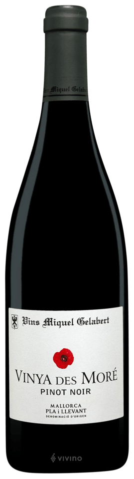 Wine Folly Pinot Noir Wine Taste Wine Folly: Magnum Edition By