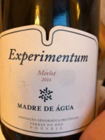 Madre de Água Experimentum Merlot