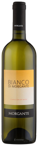 Bianco di Morgante 2023