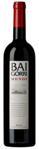Baigorri Mendi N.V.