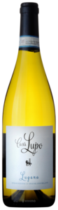 Paladin Casa Lupo Bianco N.V.