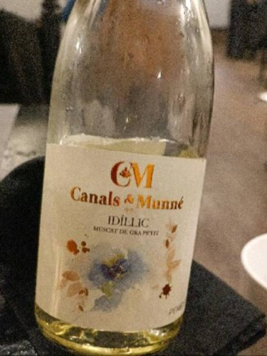 Canals & Munné Idielic Muscat de Gra Petit | Vivino English