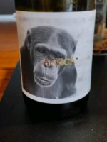 La Vinyeta Àfrica