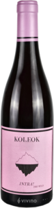 Weingut Kolfok Intra! The Wild Rosé N.V.