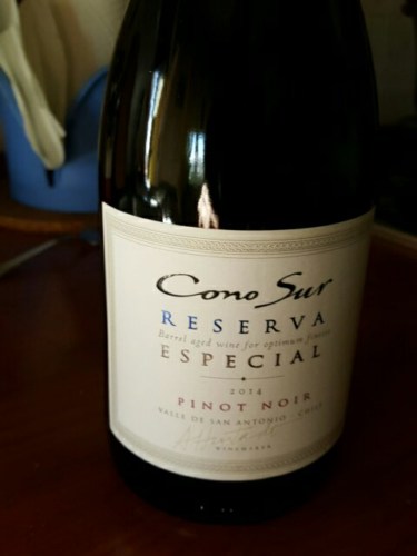 VINA CONO SUR vina cono sur: