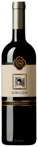 Camigliano Borgone N.V.