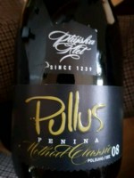 Pullus Penina Sec
