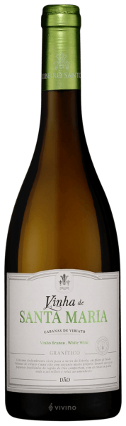 Ribeiro Santo Vinha de Santa Maria Granítico Branco