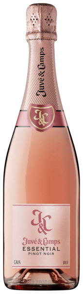 Juvé & Camps Essential Pinot Noir Brut Rosé
