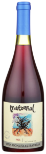Viña González Bastías Matorral País 2019