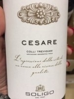 Soligo Cesare