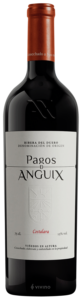 Juvé & Camps Pagos de Anguix Costalara 2019