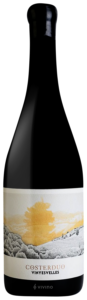 Costerduo Vinyes Velles 2017