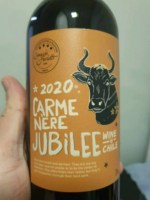 Tierra del Fuego Jubilee Carménère