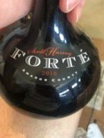 Scott Harvey Forté