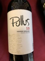 Pullus Renski Rizling Polsuho