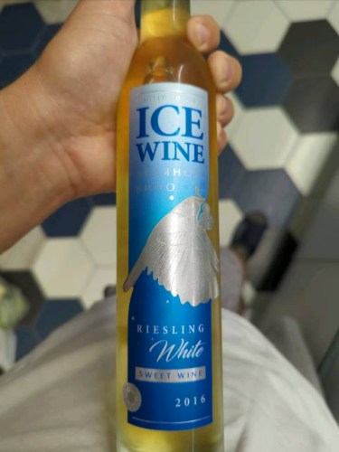 Kvint Riesling Icewine | Vivino Português (Brasil)