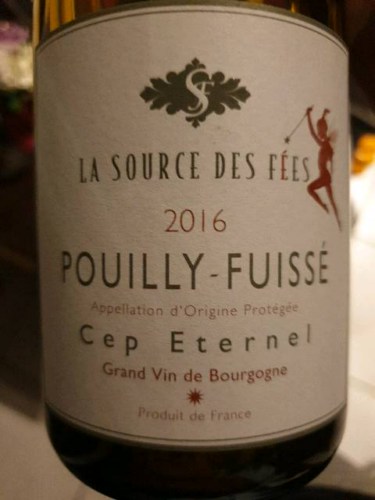 La Source des Fées Cep Eternel Pouilly-Fuissé | Vivino English