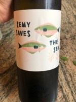 Reeve Remy Saves The Sea