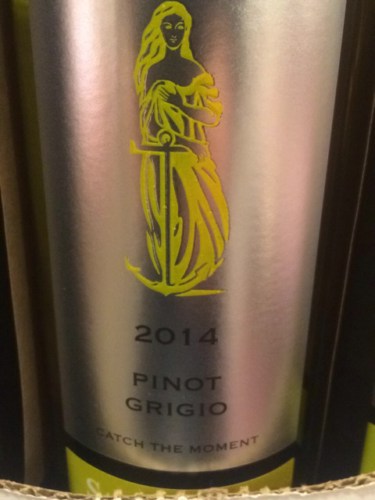 2014 Stormhoek Pinot Grigio | Vivino US