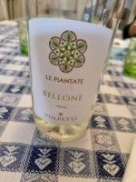 Volpetti Le Piantate Bellone