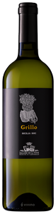 Tenuta Sallier de la Tour Grillo N.V.