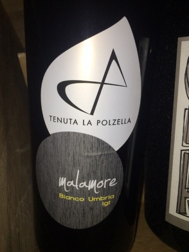 Tenuta la Polzella Malamore Bianco | Vivino English